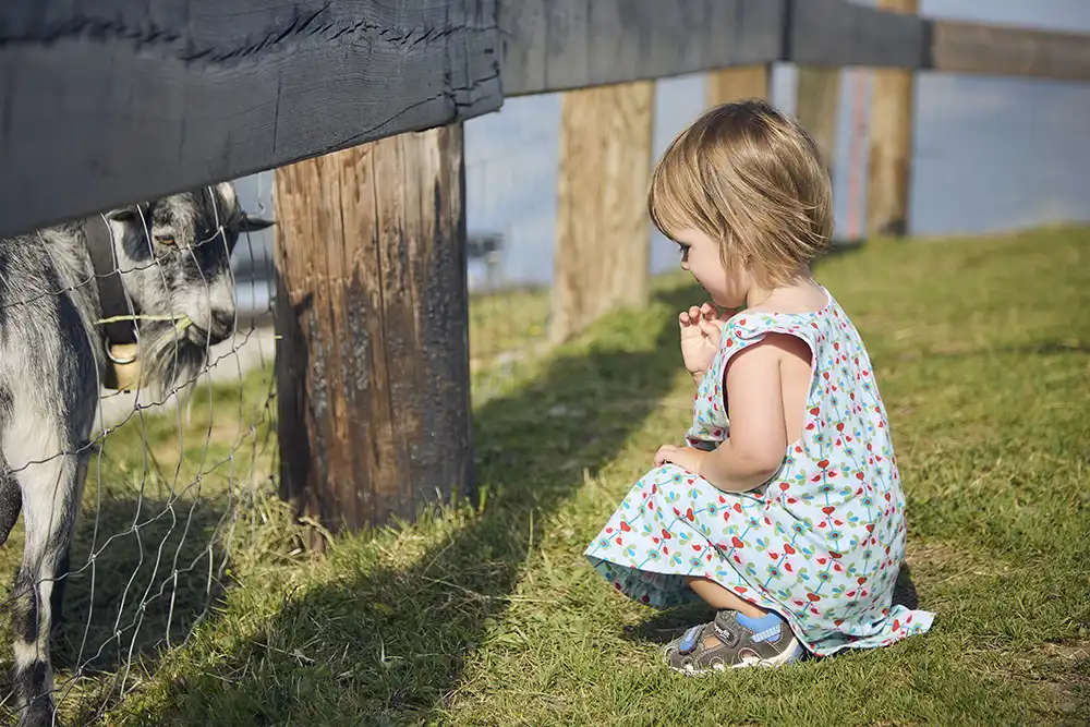 tiere-westgipfelhuette
